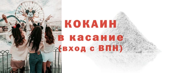 индика Абаза