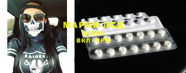 PSILOCYBIN Алзамай