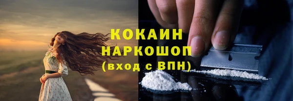 индика Абаза