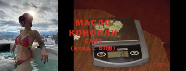 индика Абаза