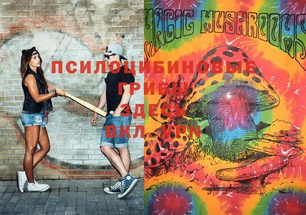 мяу мяу мука Алексин