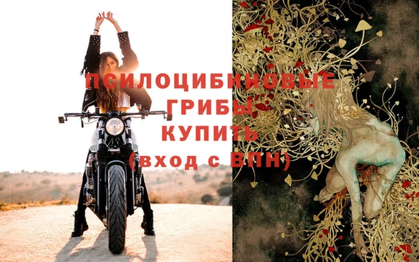 PSILOCYBIN Алзамай