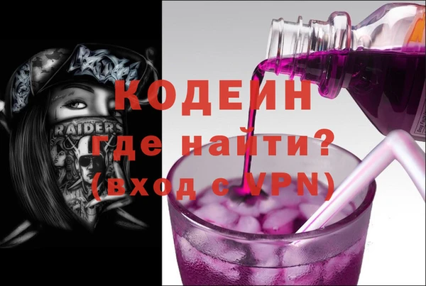 индика Абаза