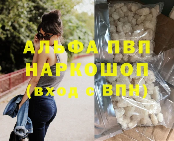индика Абаза